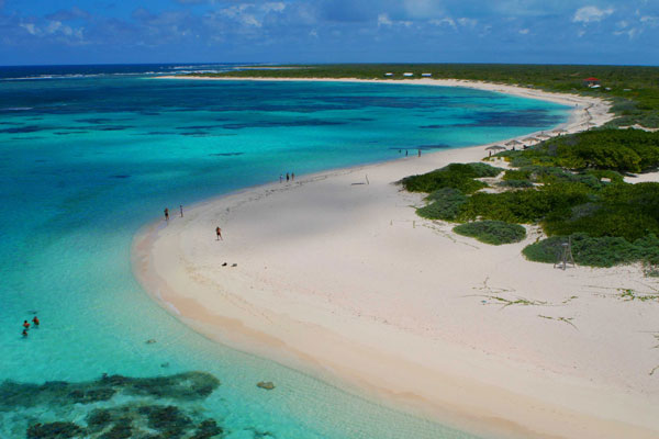 anegada-loblolly-bay