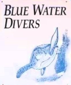 Blue water divers